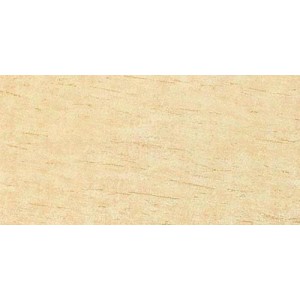 Gạch lát sàn Trường Thịnh COOLSTONE C12401